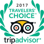 tripadvisor travelers choice awards